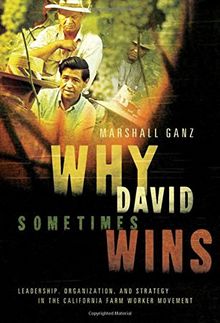Why David Sometimes Wins: Leadership, Organization, and Strategy in the California Farm Worker Movement