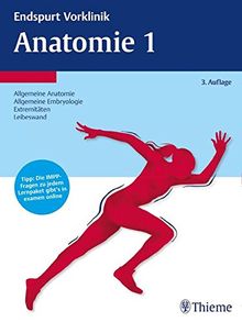 Endspurt Vorklinik: Anatomie 1: Die Skripten fürs Physikum (Reihe Endspurt Vorklinik)