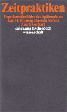 Zeitpraktiken: Experimentierfelder der Spätmoderne (suhrkamp taschenbuch wissenschaft)