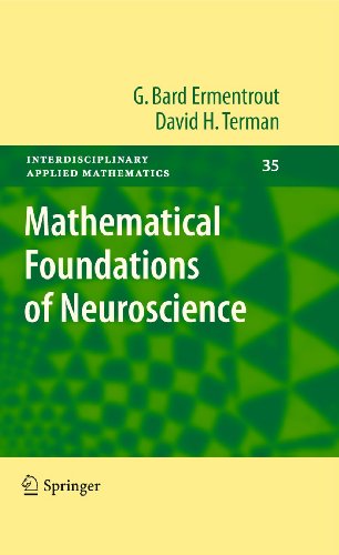 Mathematical Foundations of Neuroscience (Interdisciplinary Applied Mathematics, Band 35)