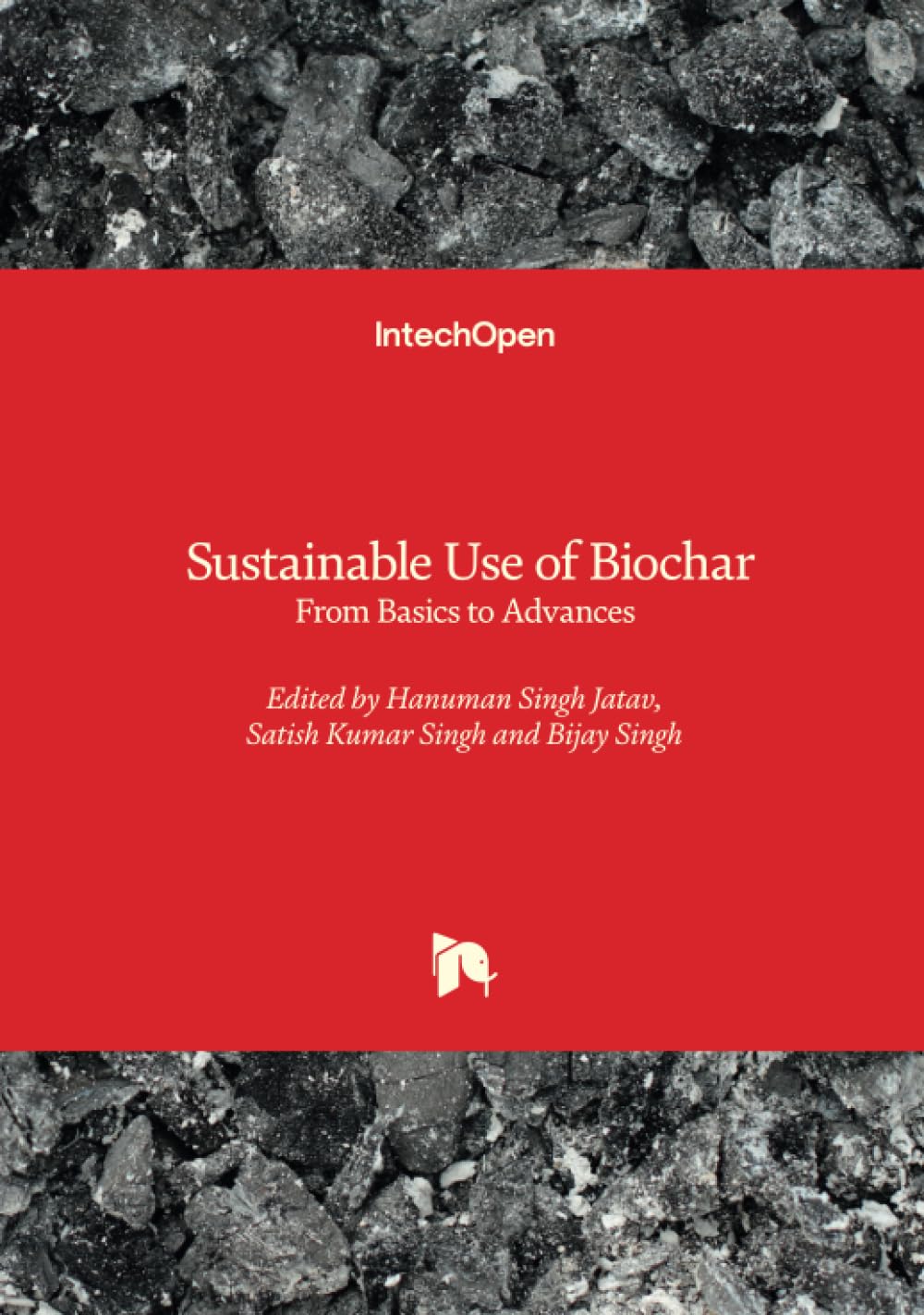 Sustainable Use of Biochar - From Basics to Advances