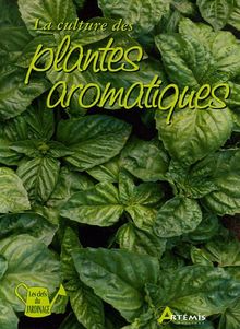 La culture des plantes aromatiques