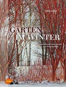 Gärten im Winter: Faszinierende Farbenpracht und Formenvielfalt