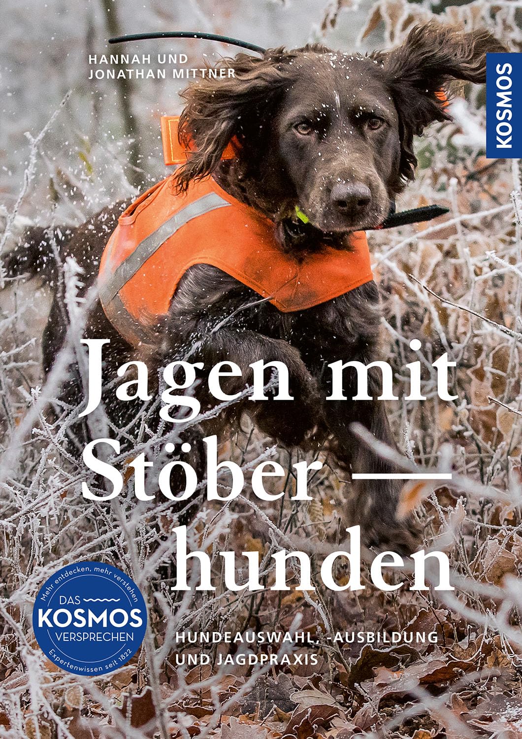 Jagen mit Stöberhunden: Hundeauswahl, -ausbildung und Jagdpraxis. So werden Wachtelhund, Bracken, Terrier und Teckel zu perfekten Stöberhunden. Für mehr Jagderfolg auf der Bewegungsjagd.