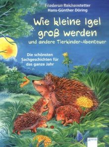 Wie kleine Igel groß werden und andere Tierkinderabenteuer: Die schönsten Sachgeschichten für das ganze Jahr