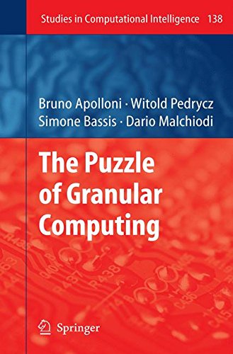 The Puzzle of Granular Computing (Studies in Computational Intelligence)