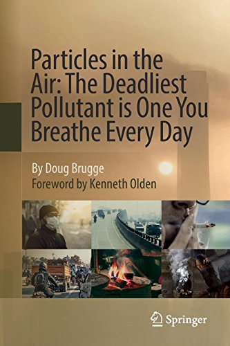 Particles in the Air: The Deadliest Pollutant is One You Breathe Every Day