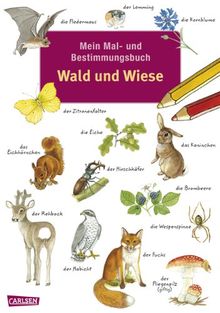 Mein Mal- und Bestimmungsbuch: Mein Mal- und Bestimmungsbuch - Wald und Wiese