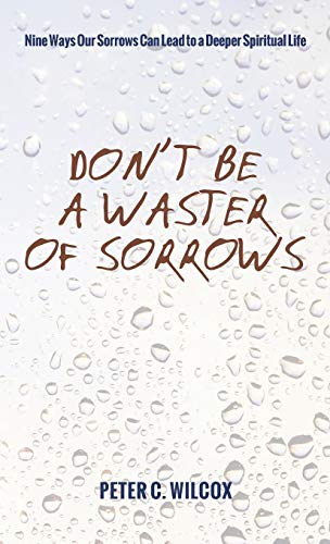 Don't Be a Waster of Sorrows: Nine Ways Our Sorrows Can Lead to a Deeper Spiritual Life