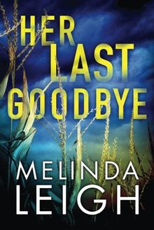 Her Last Goodbye (Morgan Dane, Band 2)