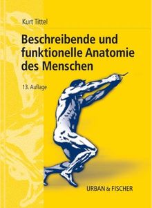 Beschreibende und funktionelle Anatomie des Menschen