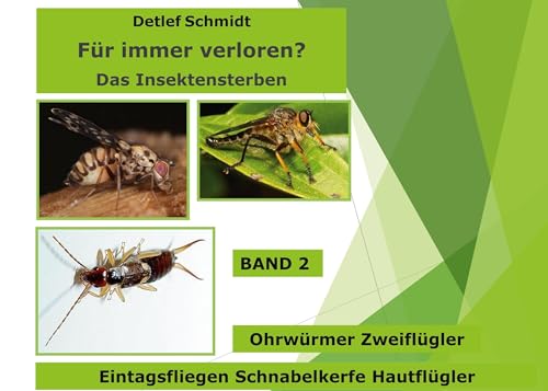 Für immer verloren?: Das Insektensterben