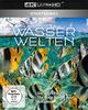 UHD Starterbox: Wasserwelten 4K (3 x Ultra HD Blu-ray Box)