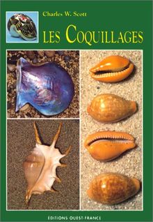 Les coquillages