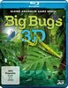 Big Bugs 3D - Kleine Krabbler ganz groß [3D Blu-ray]