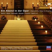 Ein Abend in der Oper