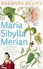 Maria Sibylla Merian: Künstlerin - Forscherin - Geschäftsfrau. Eine Biographie (insel taschenbuch)