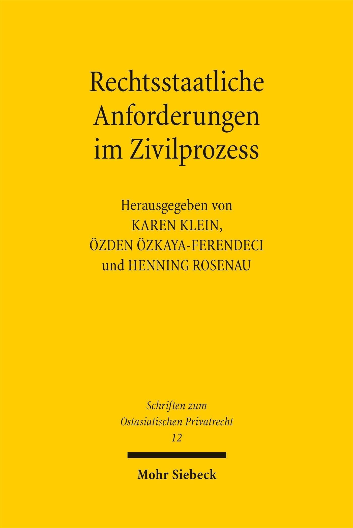 Rechtsstaatliche Anforderungen im Zivilprozess - Neuware