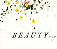 Beauty Now, die Schönheit in der Kunst am Ende des 20. Jahrhunderts