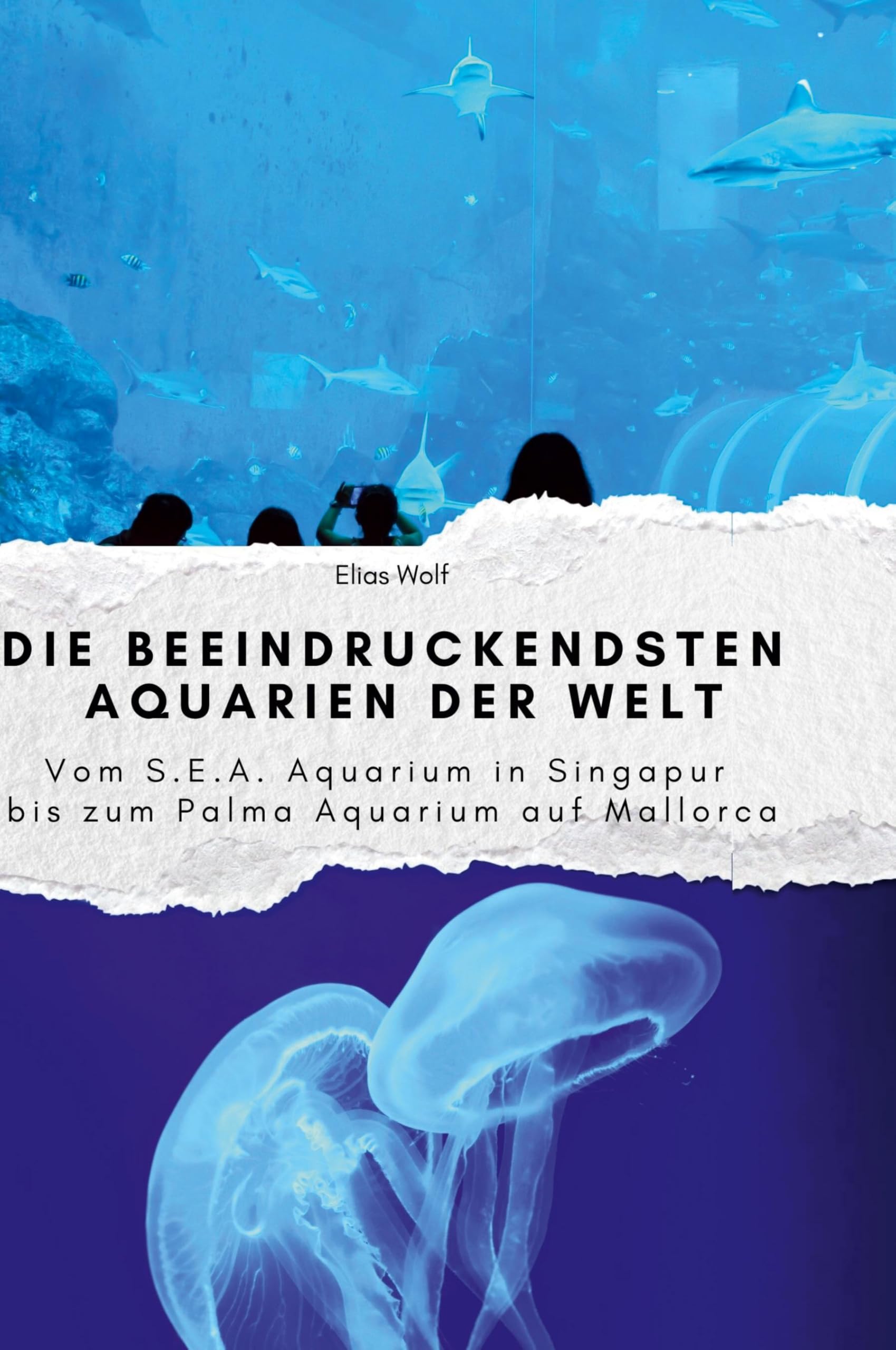 Die beeindruckendsten Aquarien der Welt: Vom S.E.A. Aquarium in Singapur bis zum Palma Aquarium auf Mallorca