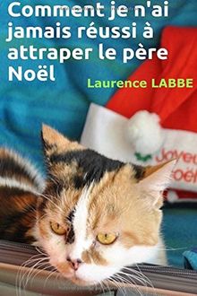 Comment je n'ai jamais réussi à attraper le père Noël