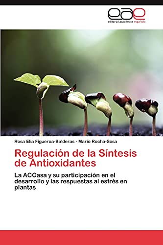 Regulación de la Síntesis de Antioxidantes: La ACCasa y su participación en el desarrollo y las respuestas al estrés en plantas
