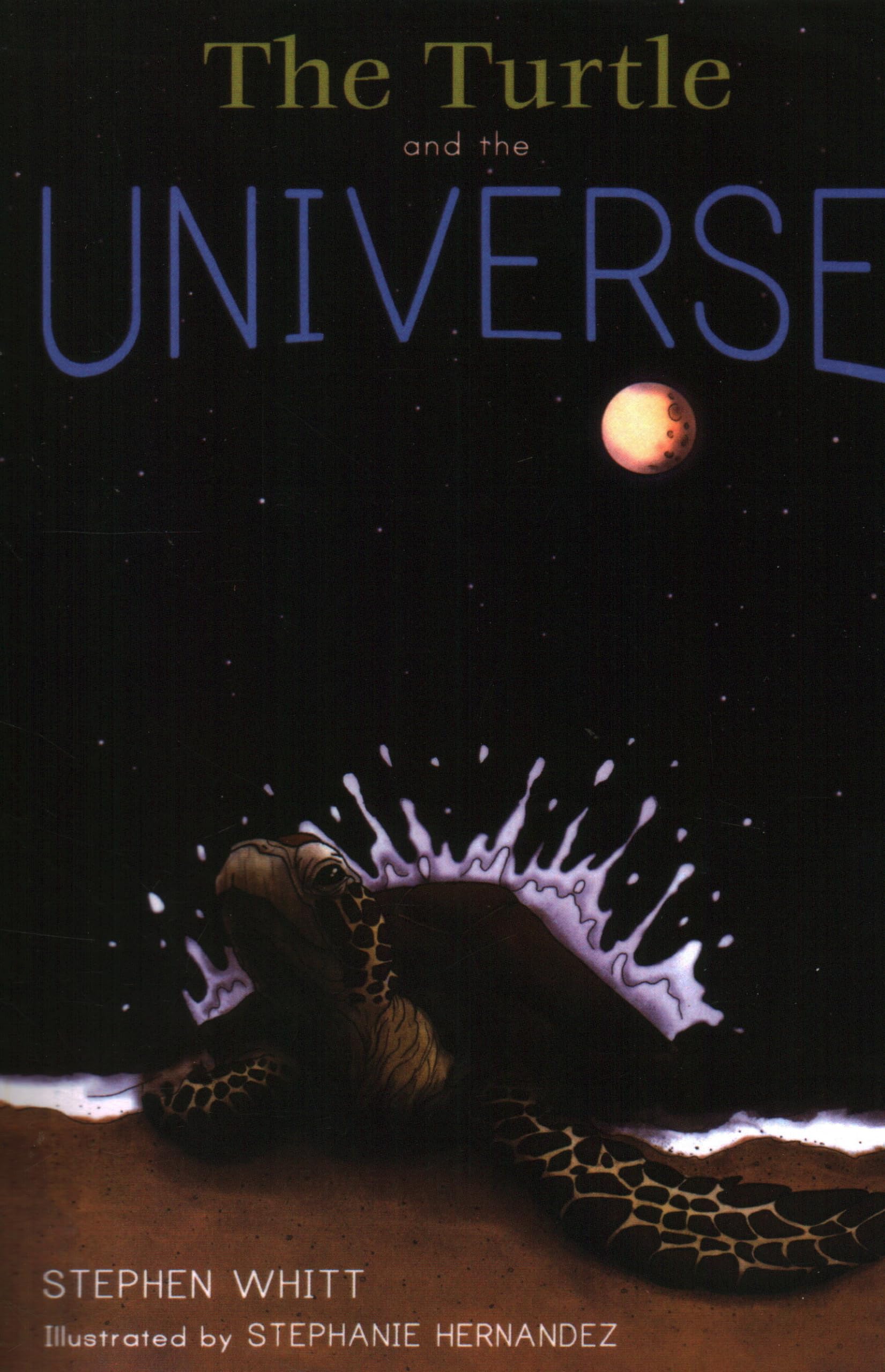 The Turtle and the Universe