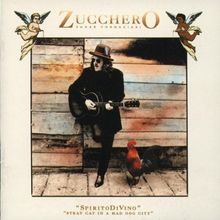 Spirito Divino (Stray Cat in a von Zucchero | CD | Zustand gut