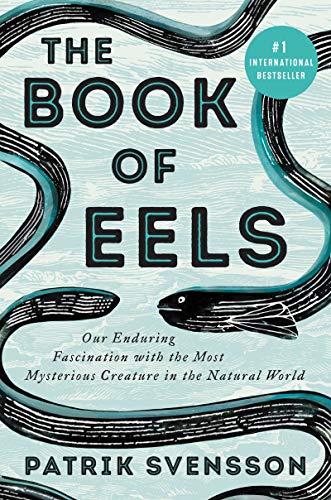 Patrik Svensson The Book Of Eels, Our Enduring Fascination With The Most Mysterious Creature In The Natural World