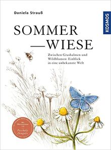 Sommerwiese: Zwischen Grashalmen und Wildblumen: Einblick in eine unbekannte Welt