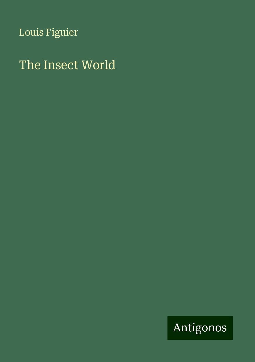 The Insect World