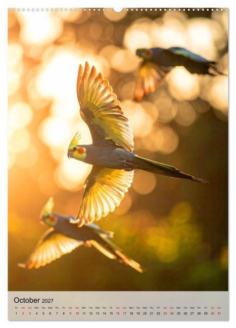 Cockatiel Dreams (High Quality Premium Wall Calendar 2027 DIN A2 portrait),CALVENDO 12 Month Wall Calendar