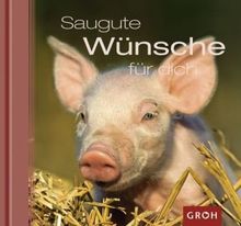 Saugute Wünsche für dich: Ich wünsch dir sauviel Glück!