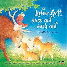 Lieber Gott, pass auf mich auf: Gute-Nacht-Gebete (Bilderbücher für 3- bis 6-Jährige)