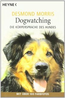 Dogwatching: Die Körpersprache des Hundes