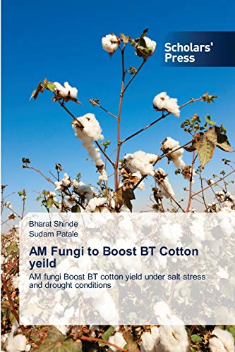 AM Fungi to Boost BT Cotton yeild: AM fungi Boost BT cotton yield under salt stress and drought conditions