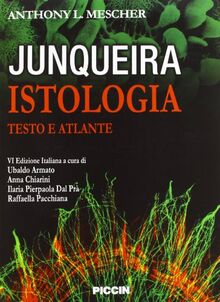 Istologia. Testo E Atlante von Mescher, Anthony L. | Buch | Zustand gut