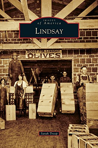 Lindsay