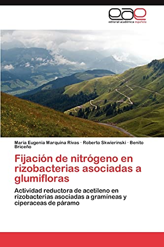 Fijación de nitrógeno en rizobacterias asociadas a glumifloras: Actividad reductora de acetileno en rizobacterias asociadas a gramíneas y ciperaceas de páramo