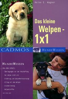 Das kleine Welpen 1 x 1