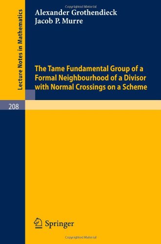The Tame Fundamental Group of a Formal Neighbourhood of a Divisor with Normal Crossings on a Scheme (Lecture Notes in Mathematics)