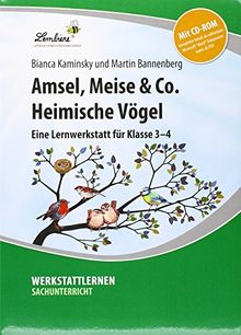 Amsel, Meise & Co: Heimische Vögel: Grundschule, Sachunterricht, Klasse 3-4