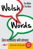 Welsh Words - Geirfa Graidd, Lefel Mynediad (De Cymru/South Wales): Core Vocabulary with Phrases