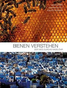 Bienen verstehen: Der Weg durchs Nadelöhr