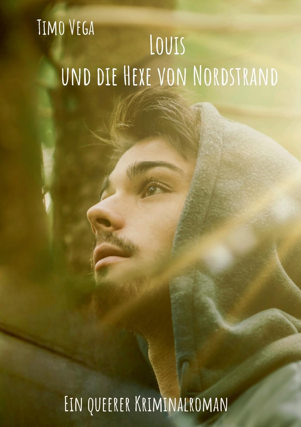 Louis und die Hexe von Nordstrand: Ein queerer Kriminalroman (Die mysteriösen Kriminalfälle des Louis Pankauke)