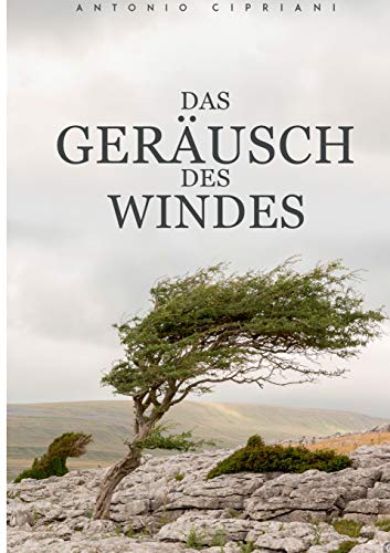 Das Geräusch des Windes: Hoffnungslos, unmenschlich und ohne einen Ausweg