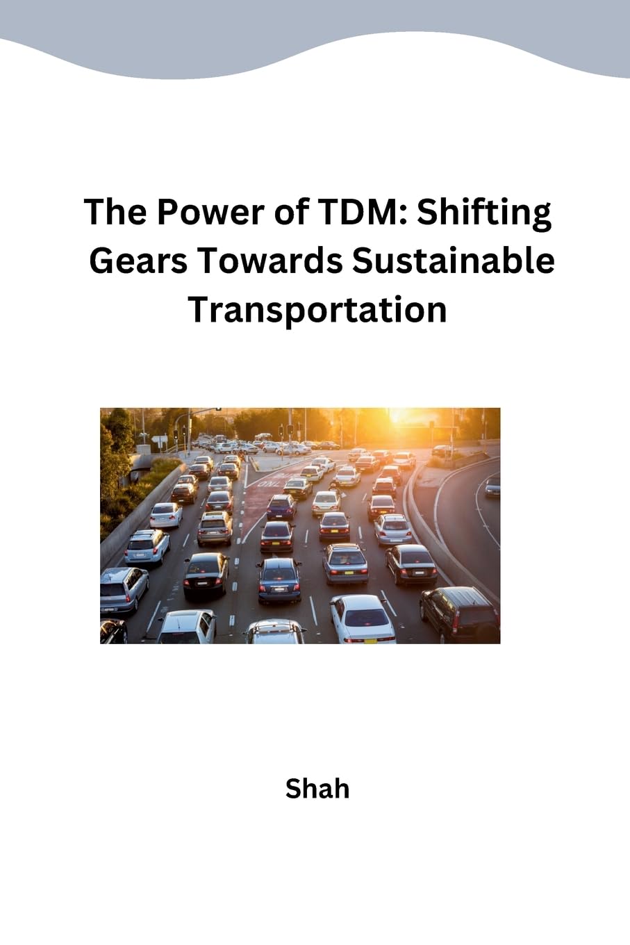 The Power of TDM: Shifting Gears Towards Sustainable Transportation: DE