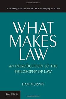 What Makes Law: An Introduction to the Philosophy of Law (Cambridge Introductions to Philosophy and Law)