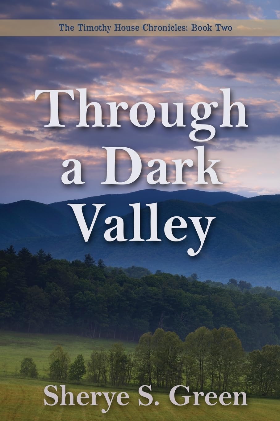 Through a Dark Valley (The Timothy House Chronicles, Band 2)