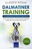Dalmatiner Training – Hundetraining für Deinen Dalmatiner: Wie Du durch gezieltes Hundetraining eine einzigartige Beziehung zu Deinem Dalmatiner aufbaust (Dalmatiner Band, Band 2)